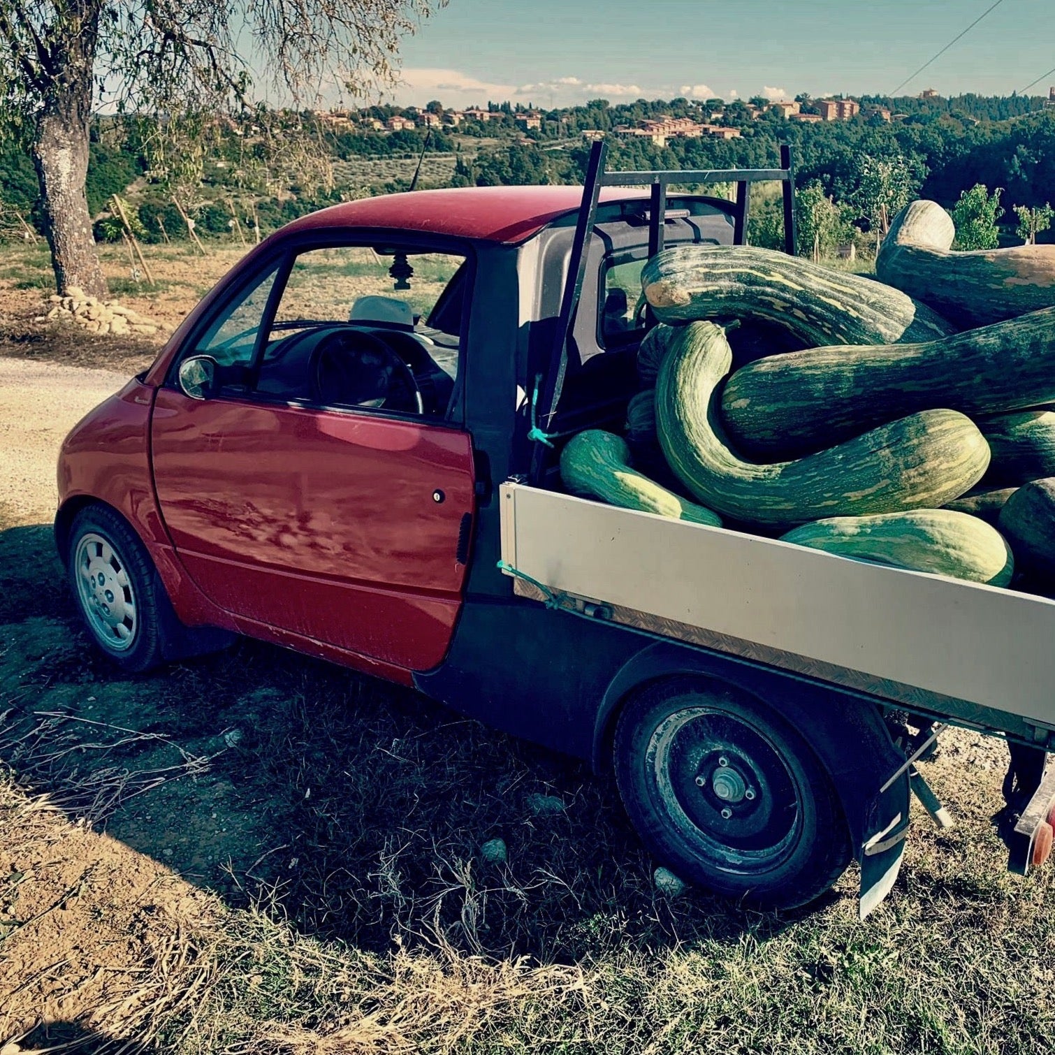 VELLUTATA DI ZUCCA E TARTUFO