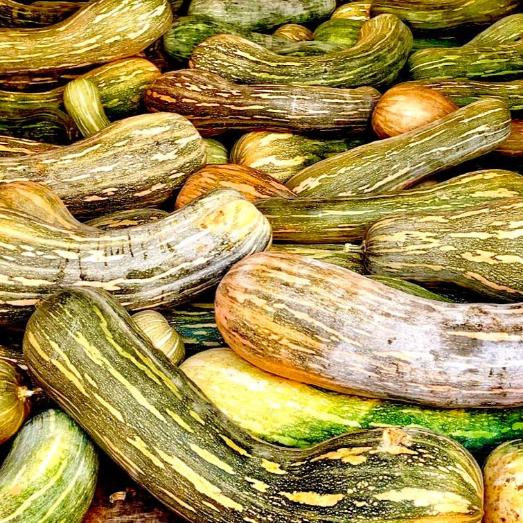VELLUTATA DI ZUCCA E TARTUFO