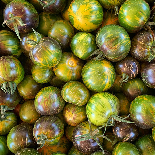 PASSATA DI POMODORO VERDE