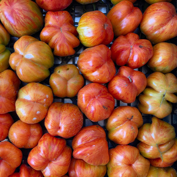 PASSATA DI POMODORO ROSSO
