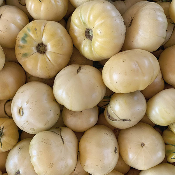 PASSATA DI POMODORO BIANCO