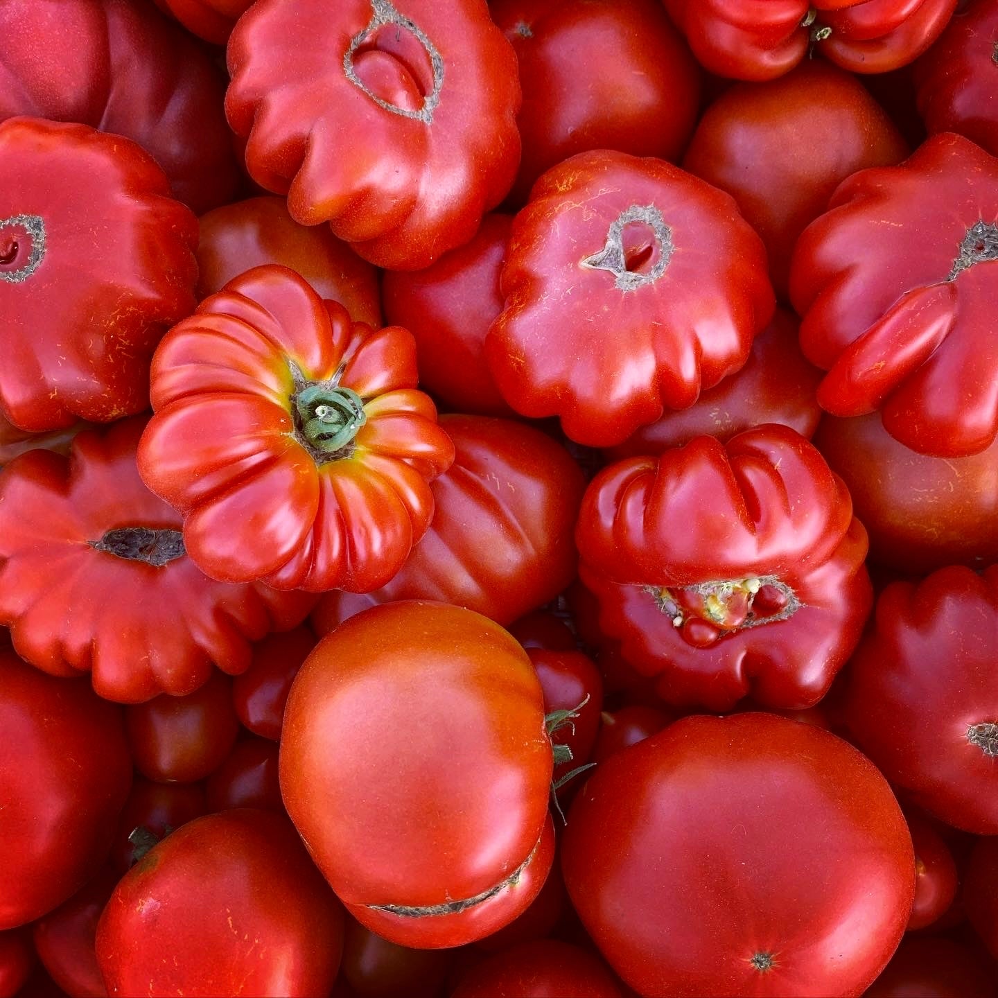 COMPOSTA DI POMODORO PICCANTE