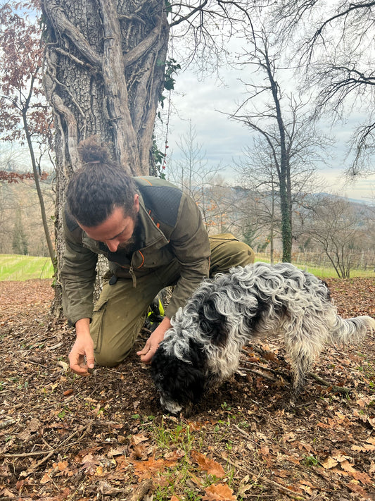 Truffle Hunting dining Experience