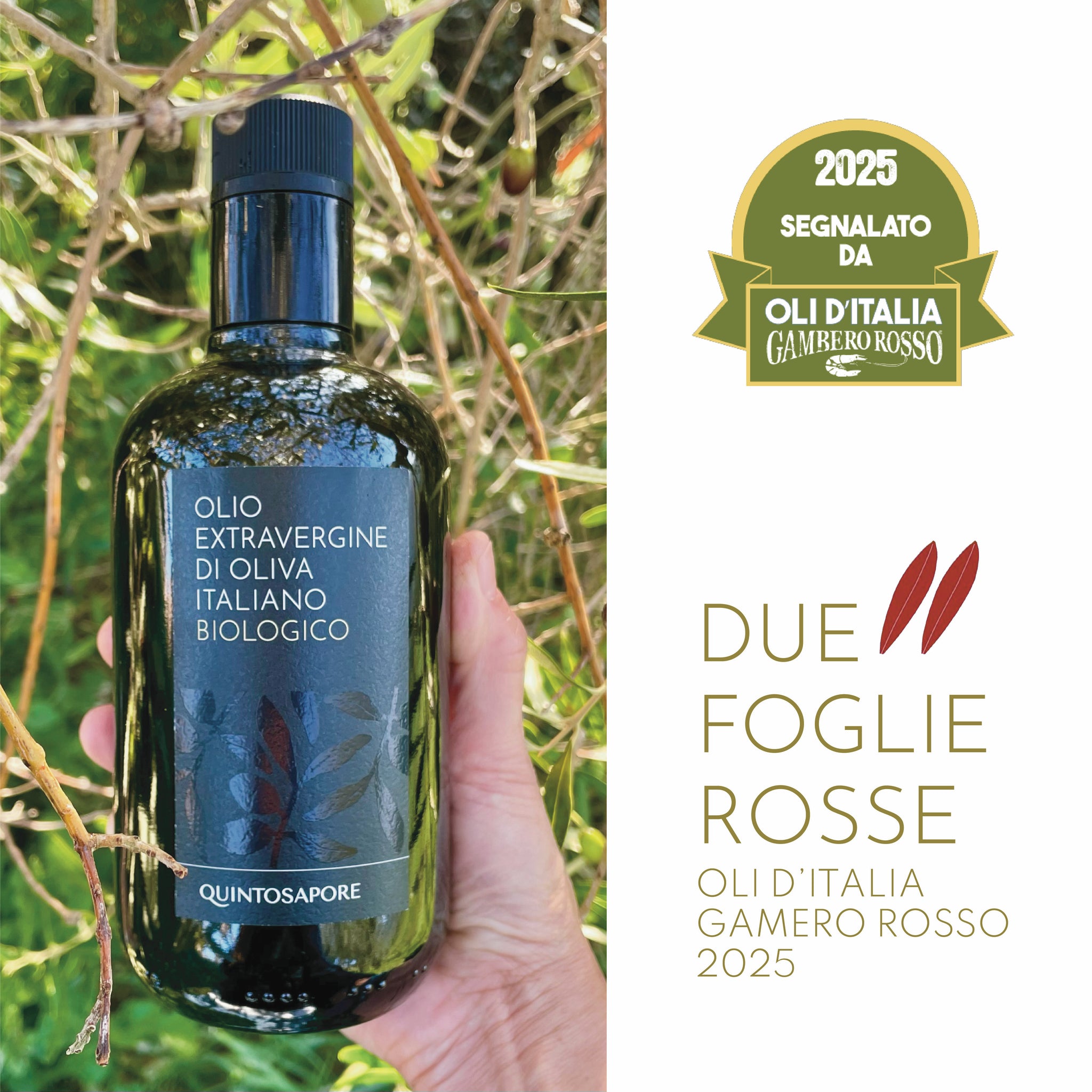 OLIO EXTRA VERGINE DI OLIVA BIOLOGICO (CAMPAGNA OLEARIA 2024-2025)
